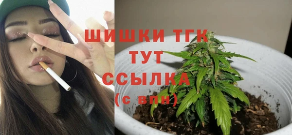ГАЛЛЮЦИНОГЕННЫЕ ГРИБЫ Белокуриха