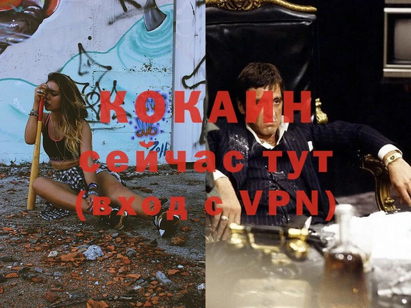 ГАЛЛЮЦИНОГЕННЫЕ ГРИБЫ Белокуриха