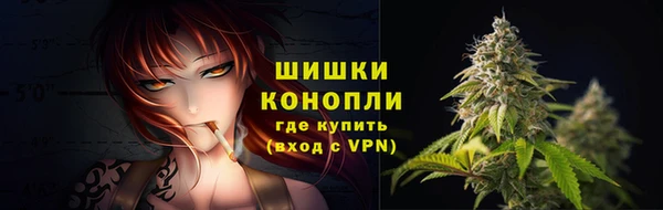 ГАЛЛЮЦИНОГЕННЫЕ ГРИБЫ Белокуриха