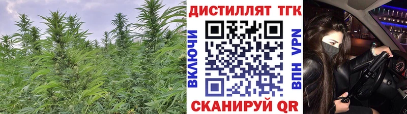 где купить наркоту  Волосово  ТГК Wax 